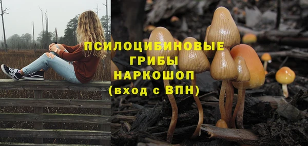 мдма Краснотурьинск