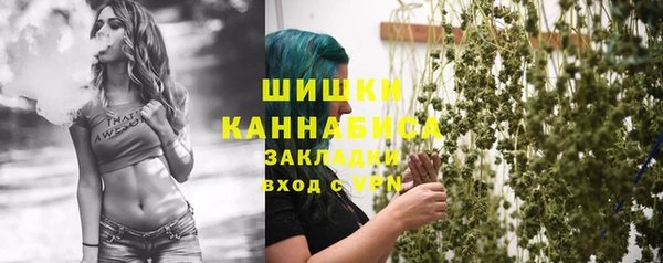 индика Краснослободск