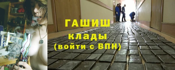 индика Краснослободск