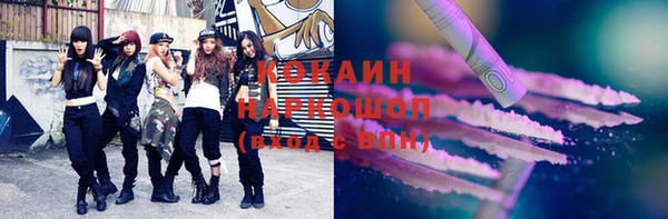 индика Краснослободск