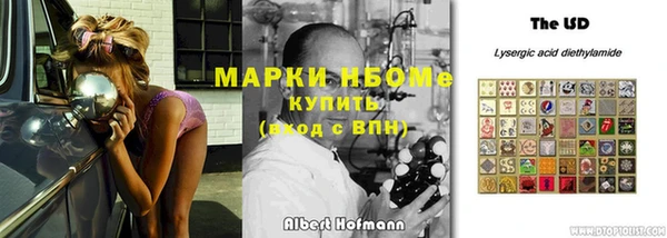 индика Краснослободск