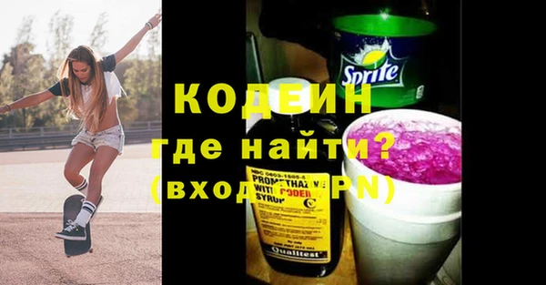 индика Краснослободск