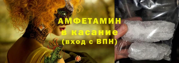 индика Краснослободск
