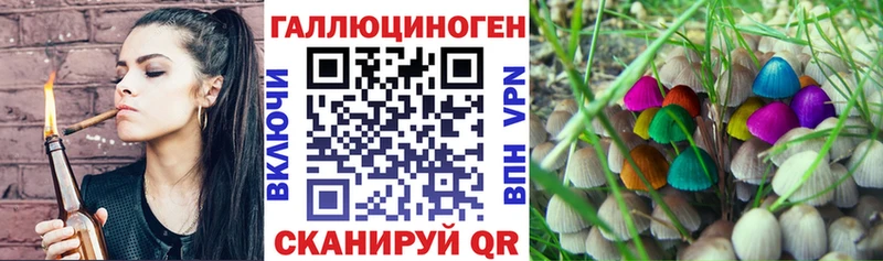 Галлюциногенные грибы Psilocybine cubensis  Мосальск 